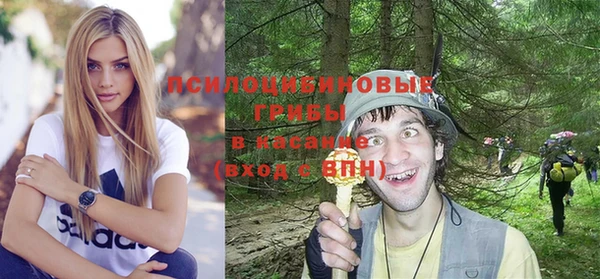 mdpv Каменка