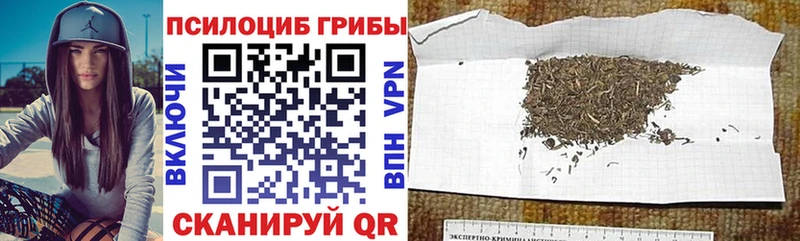 Псилоцибиновые грибы Magic Shrooms  Купить закладки  Гусев 